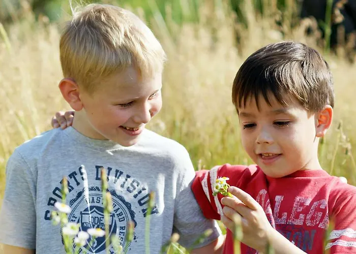 Western Macrander 4*