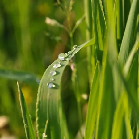 Western Macrander Hotel Dresden