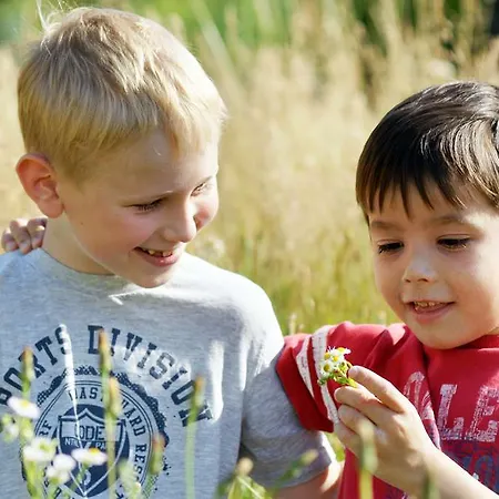 Western Macrander 4*