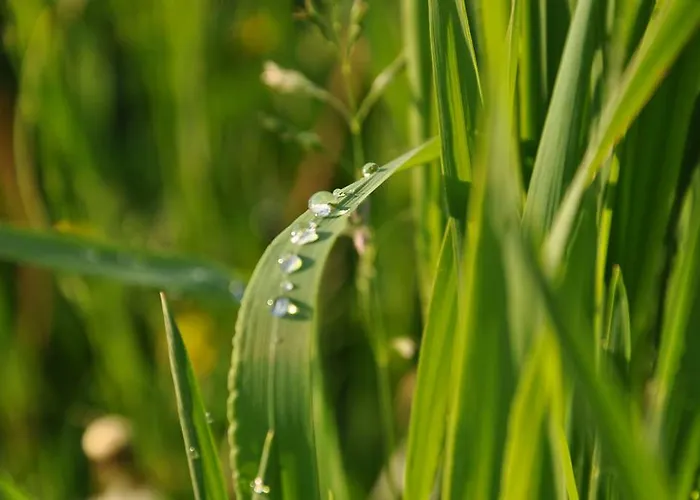 Western Macrander Hotel Dresden